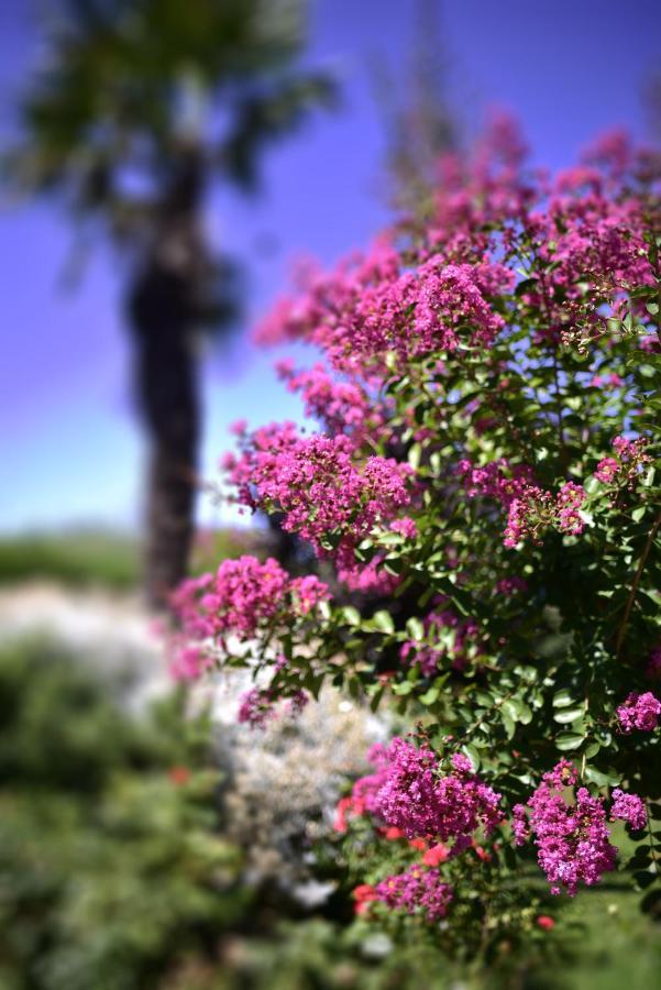 Il Casale Bed and Breakfast San Giovanni In Marignano Εξωτερικό φωτογραφία
